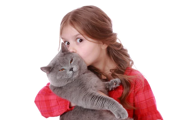 Lilla flickan kysser brittiska katt — Stockfoto