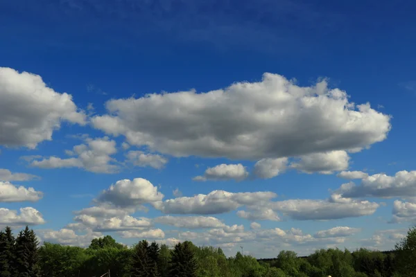 Imagen Fondo Soleado Primavera — Foto de Stock