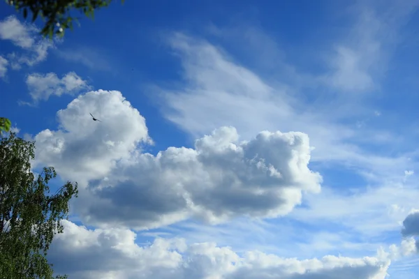 Våren Solig Bakgrund Blå Himmel Med Moln Och Gröna Löv — Stockfoto