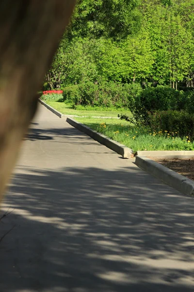 Pad Door Het Park Lente Tijd Moskou Rusland — Stockfoto