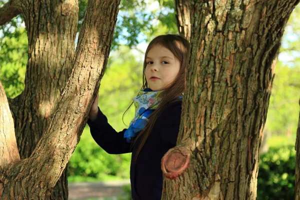 Lovely little girl — Stock Photo, Image