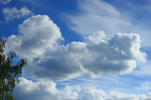 Fundo Ensolarado Primavera Céu Azul Com Nuvens Folhas Verdes Árvores — Fotografia de Stock