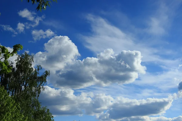 Fundo Ensolarado Primavera Céu Azul Com Nuvens Folhas Verdes Árvores — Fotografia de Stock
