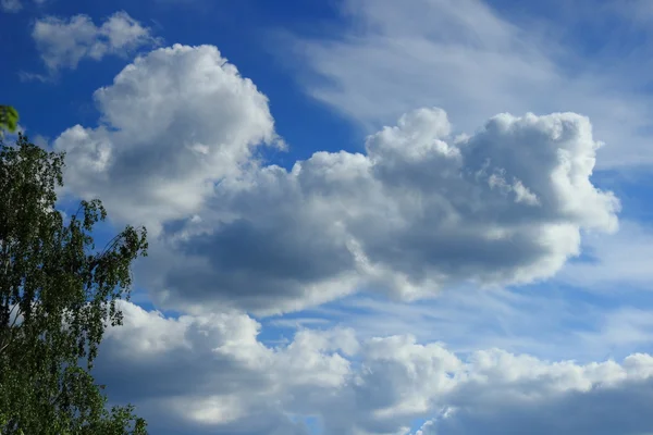 Spring Sunny Background Blue Sky Clouds Green Leaves Trees — Stock Photo, Image