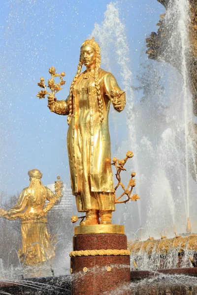 "Fontana dell'amicizia dei popoli — Foto Stock