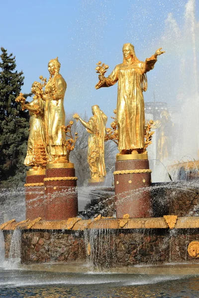 Fountain Nation Friendship Moscow Russia — Stock Photo, Image