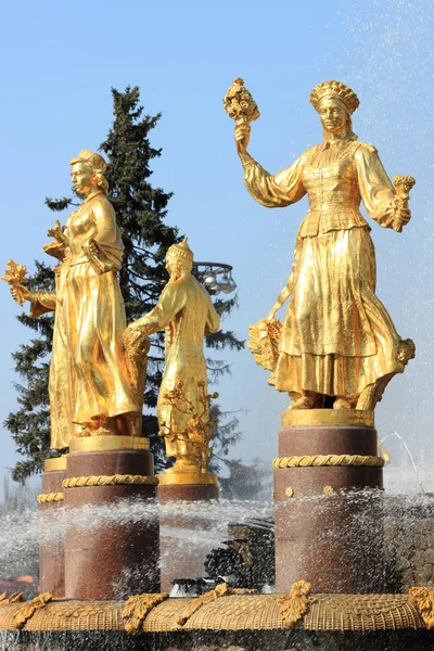 Famous Fountain Friendship Peoples Moscow Russia — Stock Photo, Image