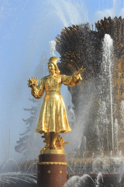 Fountain Nation Friendship Moscow Russia — 스톡 사진