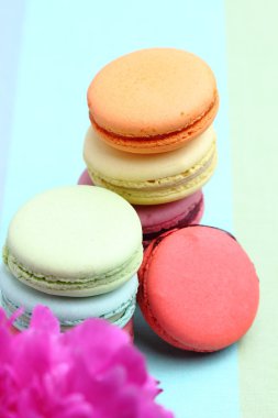 renkli tatlı macaroons ve pembe Şakayık çiçeği