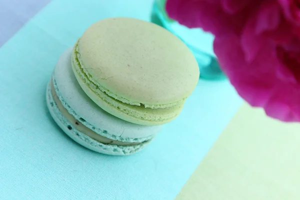 Twee zoete kleurrijke bitterkoekjes en roze pioen bloem in glas — Stockfoto