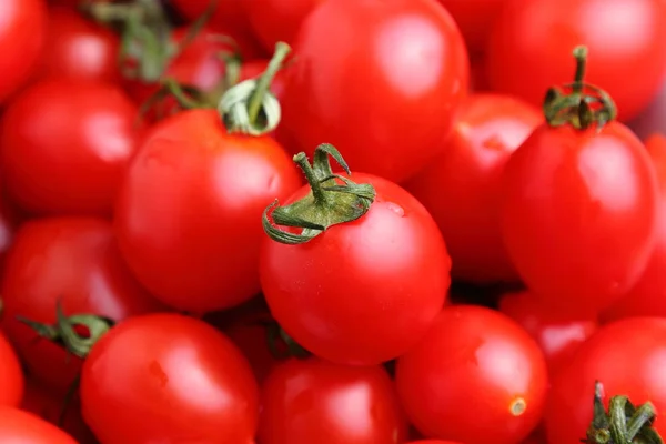 Tomates cereja fundo — Fotografia de Stock