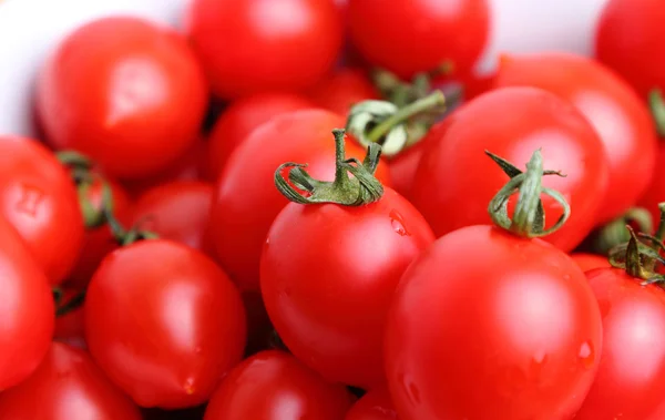 Cherry rajčata pozadí — Stock fotografie