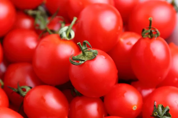 Tomates cereja fundo — Fotografia de Stock