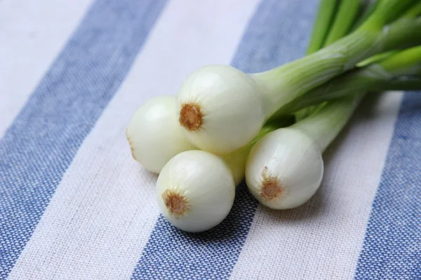 Bunch of green onion vegetables — Stock Photo, Image