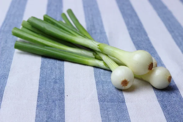 Grono zielona cebula warzywa — Zdjęcie stockowe