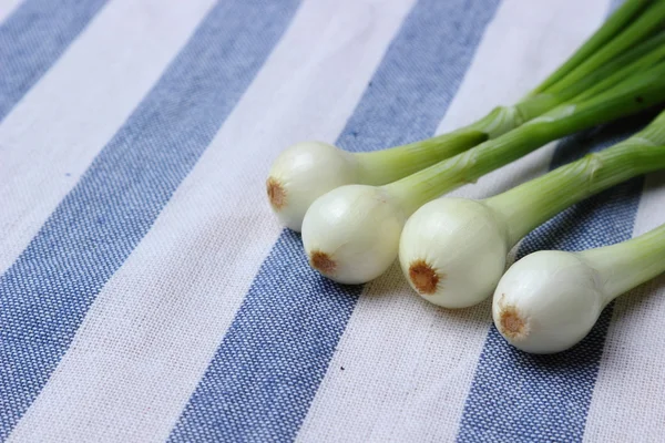 Bunch of green onion vegetables — Stock Photo, Image