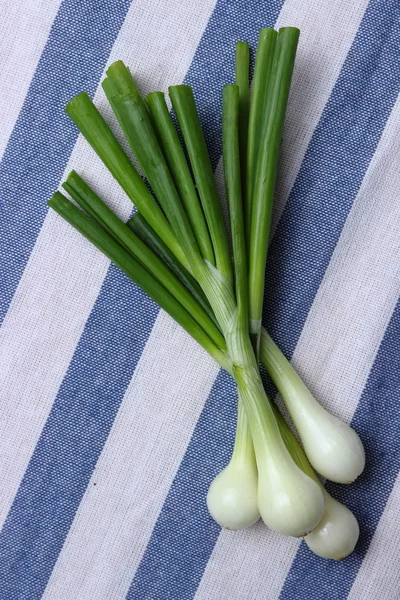 무리의 녹색 양파 야채 — 스톡 사진