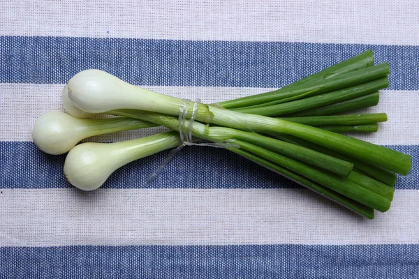 Куча зеленых луковых овощей — стоковое фото
