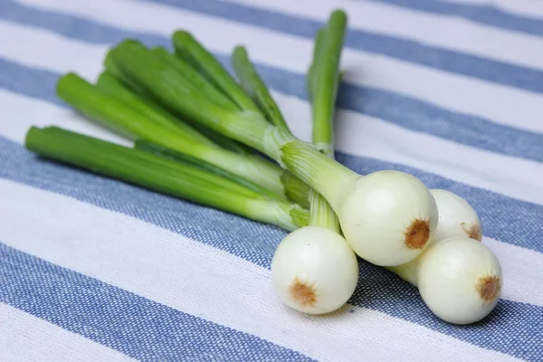 Grono Zielona Cebula Warzywa — Zdjęcie stockowe