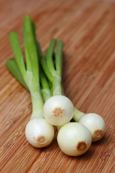 Young Onion Bulbs Green Sprouts — Stock Photo, Image