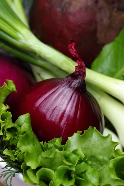Frische Kräuter und Gemüse — Stockfoto