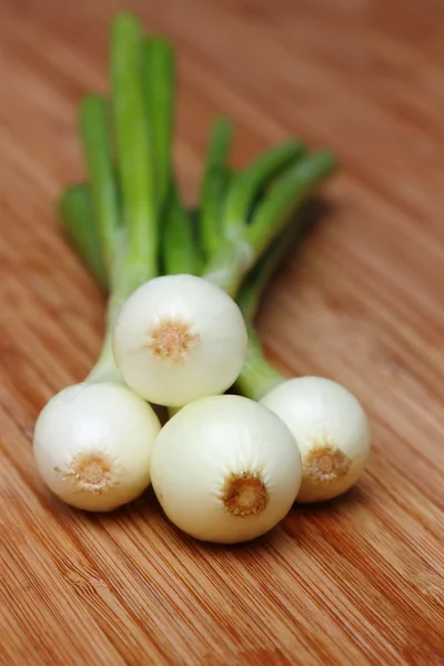 Young Fresh Green Onions — ストック写真