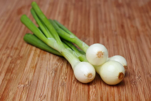 Young Fresh Green Onions — Stock Photo, Image