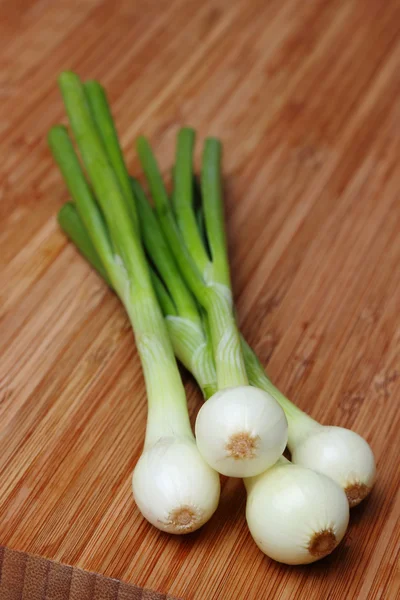 Grüne Zwiebel — Stockfoto