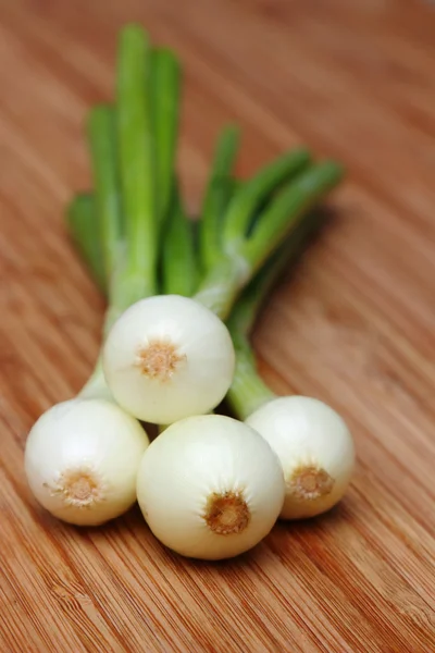 Young Fresh Green Onions — ストック写真