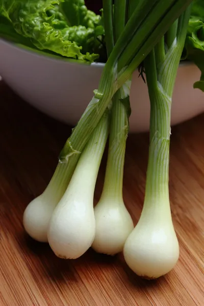 Green onion — Stock Photo, Image