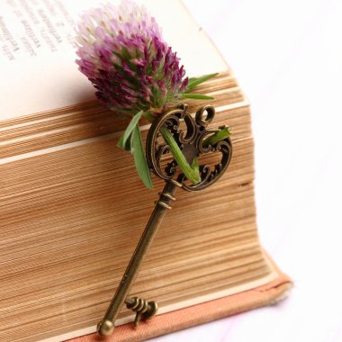 Eski anahtar antika açık kitap
