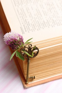 Eski anahtar antika açık kitap