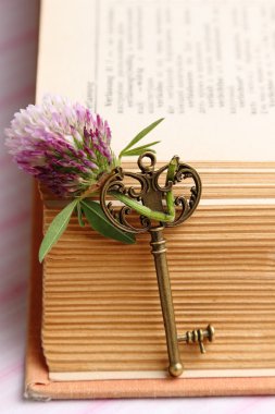 Eski anahtar antika açık kitap