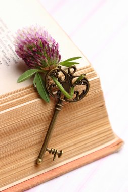 vintage kitap eski metal anahtar