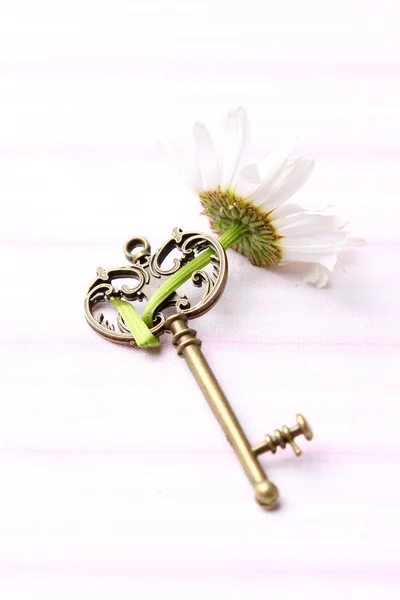 Antique key with fresh chamomile — Stock Photo, Image