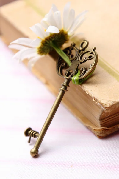 Key with fresh chamomile and old book — Stock Photo, Image