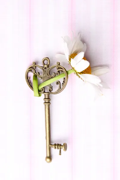 Antique key and natural chamomile — Stock Photo, Image