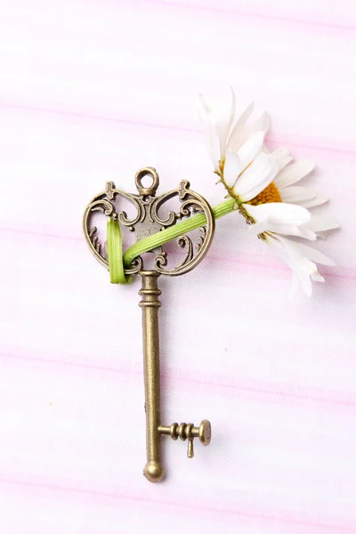 Vintage nyckel — Stockfoto