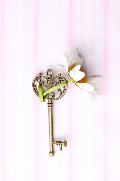 Vintage nyckel — Stockfoto
