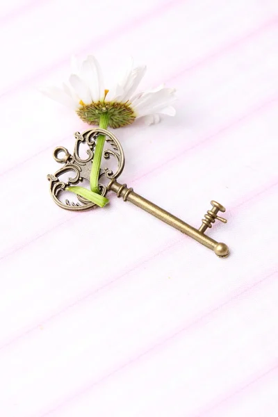 Antique key and natural chamomile — Stock Photo, Image