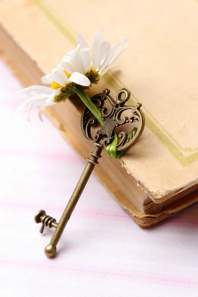 Nyckel med färsk kamomill och gammal bok — Stockfoto