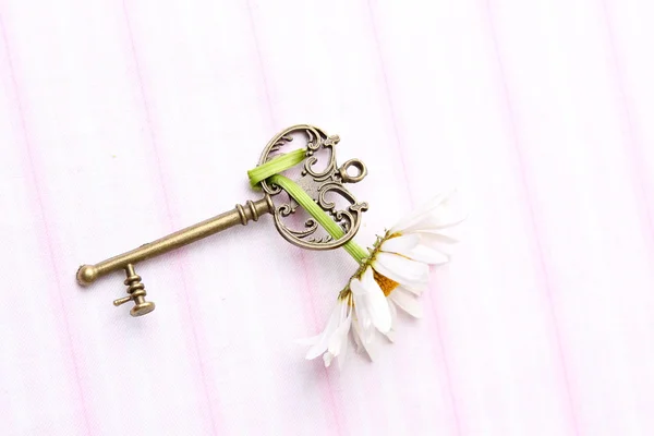 Antique key with fresh chamomile — Stock Photo, Image