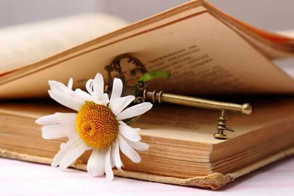 Key with fresh chamomile and old book — Stock Photo, Image