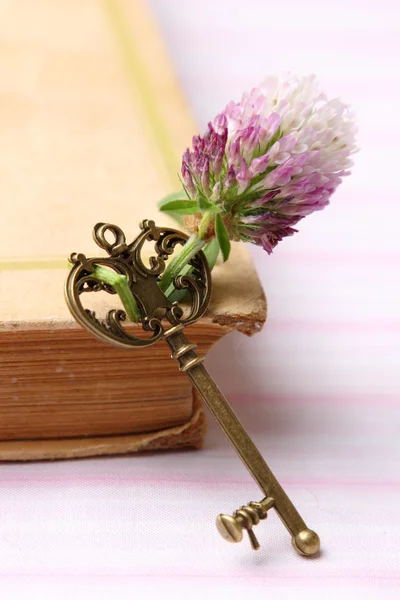 Antik Nyckel Med Färsk Lila Blomma Ligger Boken — Stockfoto