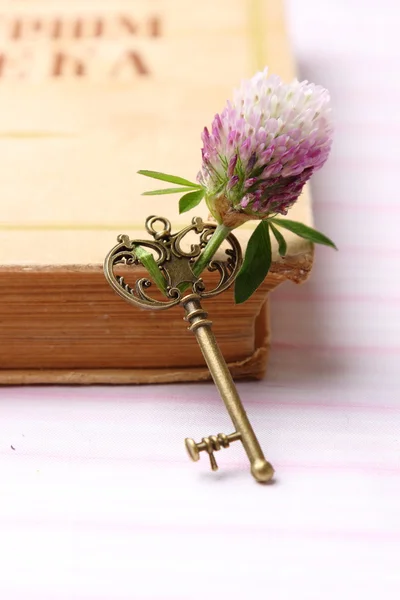 Antique Key Fresh Purple Flower Lies Book — Stock Photo, Image