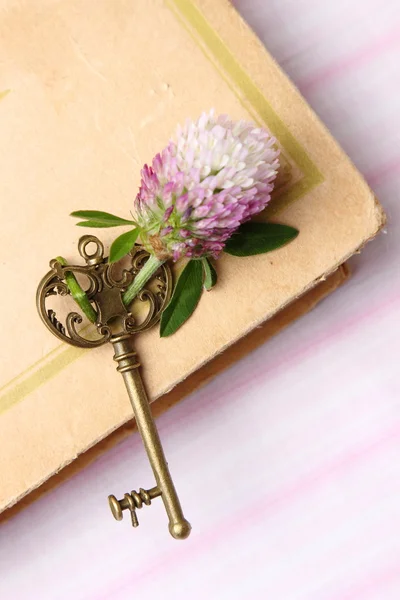Antik Nyckel Med Färsk Lila Blomma Ligger Boken — Stockfoto