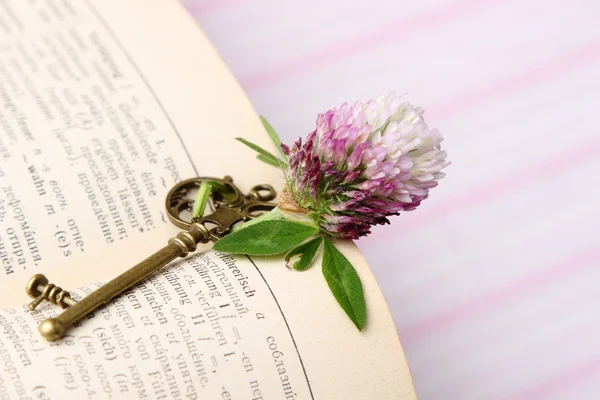 Antike Schlüssel mit Blume liegt auf dem Buch — Stockfoto