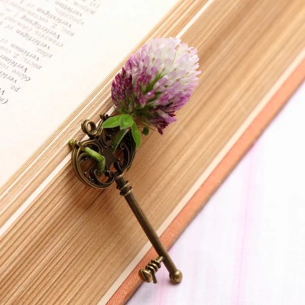 Old metal key on vintage book — Stock Photo, Image