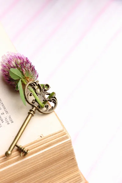 Antique key with flower lies on the book — Stock Photo, Image