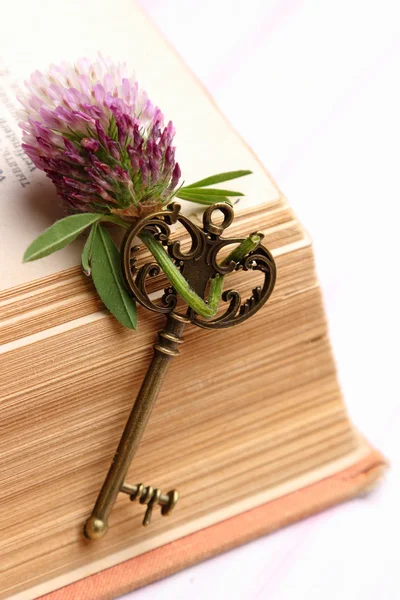 Антикварный ключ с цветами лежит на книге — стоковое фото